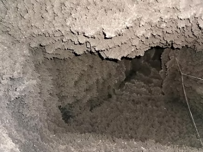 RPS Duster Brush - Medium -